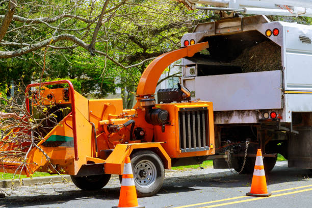 Rothschild, WI Tree Removal and Landscaping Services Company